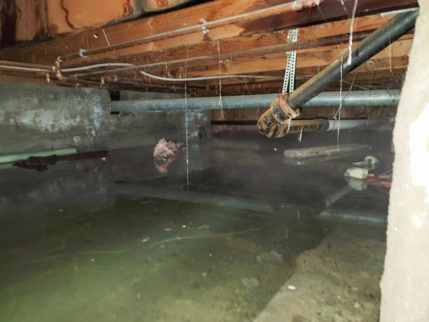 Best Flooded house restoration  in Half Moon Bay, CA
