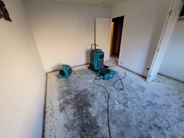 Best Water damage restoration near me  in Half Moon Bay, CA
