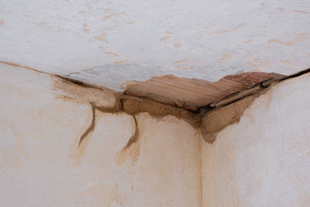 Best Flood restoration services  in Half Moon Bay, CA