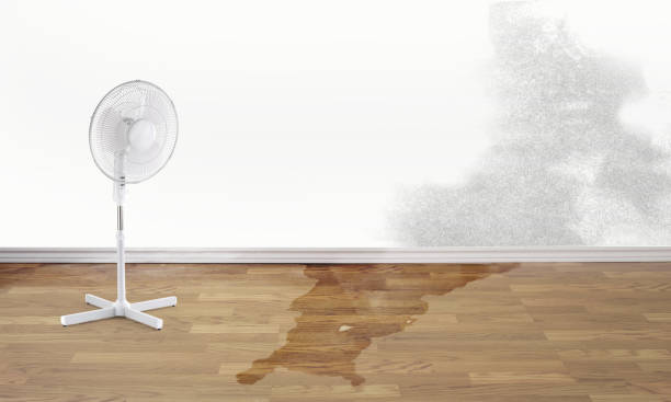 Best Basement water damage restoration  in Half Moon Bay, CA