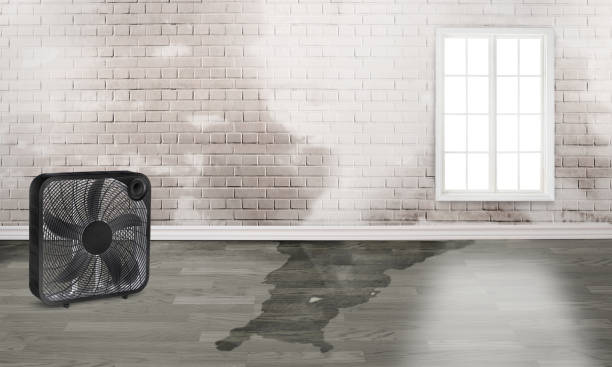 Best 24/7 water damage repair  in Half Moon Bay, CA