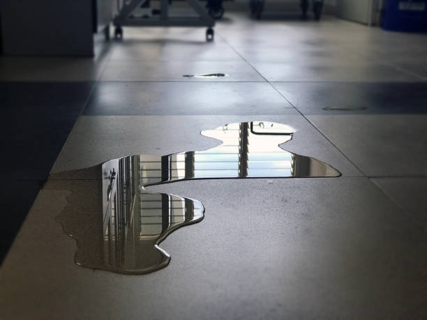 Best Water damage restoration experts  in Half Moon Bay, CA