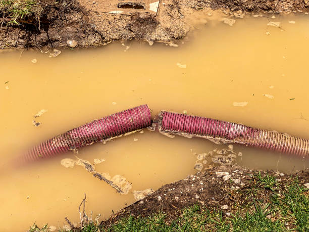 Best Residential water damage restoration  in Half Moon Bay, CA