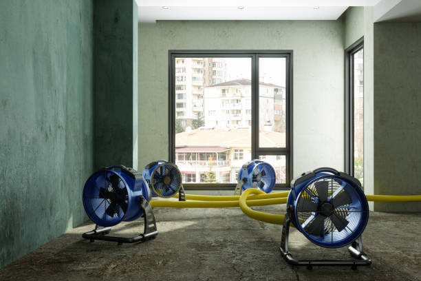 Best Carpet water damage restoration  in Half Moon Bay, CA