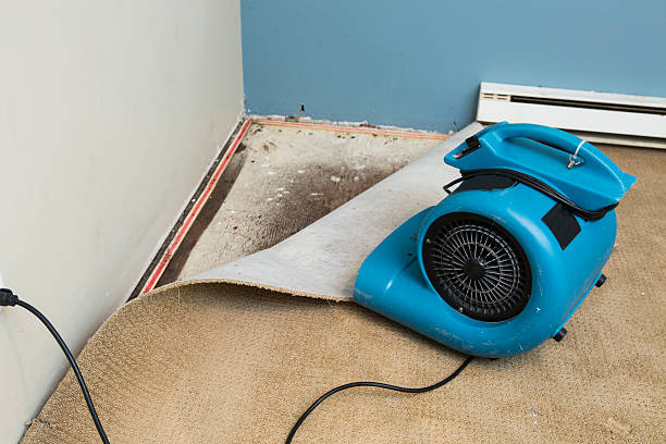 Best Water damage restoration near me  in Half Moon Bay, CA